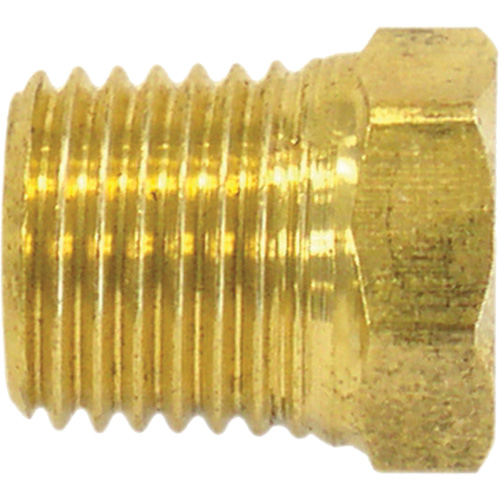Bouchon de tuyau (t&ecirc;te hexagonale), 1/4" dia., Laiton M & M Nord Ouest Inc