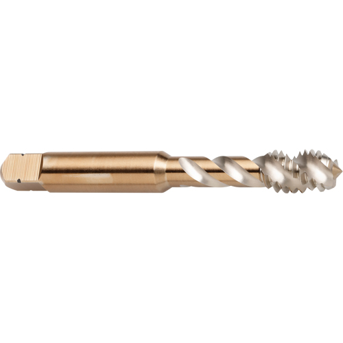Taraud &agrave; cannelure en spirale 45°, Acier rapide au cobalt, Filet de 1/4"-20, 2-1/2" l M & M Nord Ouest Inc