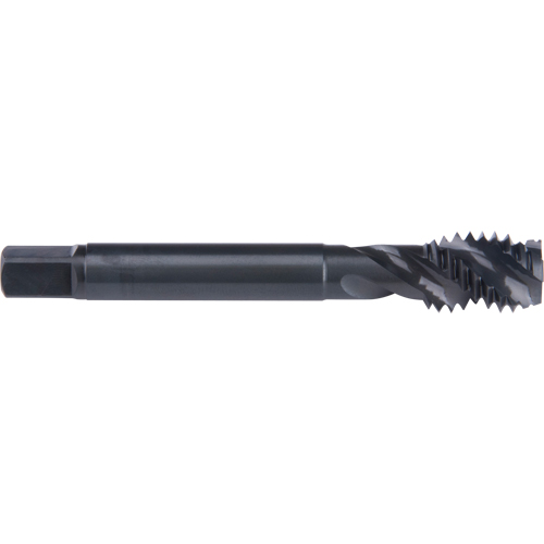 45° Spiral Flute Tap, High Speed Cobalt, 7/8"-9 Thread, 4-11/16" L M & M Nord Ouest Inc