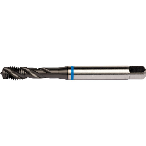 Taraud &agrave; cannelures h&eacute;licoidales Blue Shark, Acier rapide au cobalt, Filet de 1/4"-28, 3,15" l M & M Nord Ouest Inc