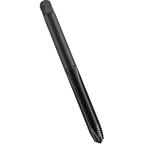 Taraud &agrave; entr&eacute;e h&eacute;licoidale, Acier rapide au cobalt, Filet de M10x1, 2-15/16" l M & M Nord Ouest Inc