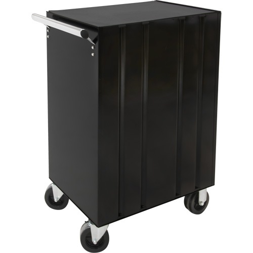Industrial Tool Cart, 3 Drawers, 29-4/5" W x 21-1/5" D x 38-4/5" H, Black M & M Nord Ouest Inc