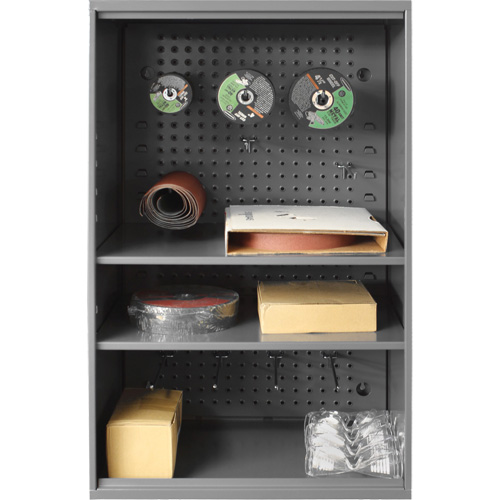 Abrasive Storage Cabinet with Pegboard, Steel, 19-7/8" x 14-1/4" x 32-3/4", Grey M & M Nord Ouest Inc