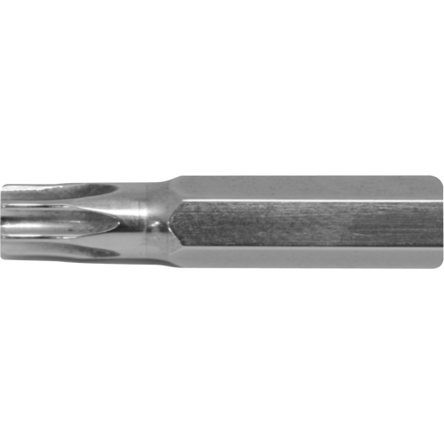 Embout de rechange pour tournevis multi embouts Stubby, Torx, 15, Prise 1/4" M & M Nord Ouest Inc