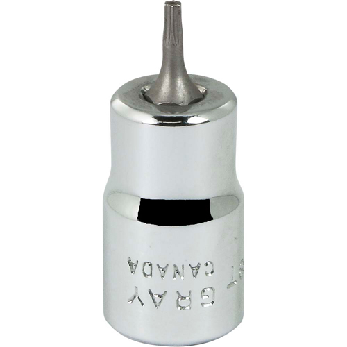 Bit Socket, Torx&reg;, T8 x 2-1/8" L, 3/8" Drive M & M Nord Ouest Inc