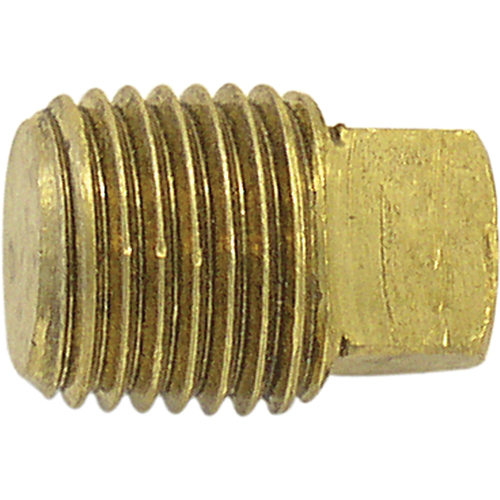 Bouchon de tuyau (t&ecirc;te carr&eacute;e), 1/8" dia., Laiton M & M Nord Ouest Inc