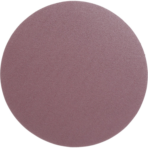 PSA Cloth Disc 348D, 12" Dia., 60 Grit, Aluminum Oxide, X-Weight M & M Nord Ouest Inc