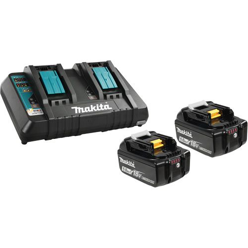Li-Ion Battery & Dual-Port Charger Kit, 18 V, Lithium-Ion M & M Nord Ouest Inc