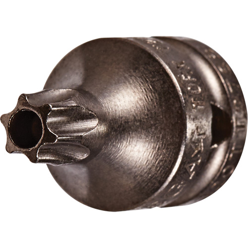 Embout &agrave; ins&eacute;rer, Torx inviolable, 8 x 3/4" lo, Prise 1/4" M & M Nord Ouest Inc