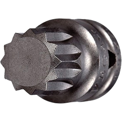 Embout &agrave; ins&eacute;rer, Triple carr&eacute;, 5 x 3/4" lo, Prise 1/4" M & M Nord Ouest Inc