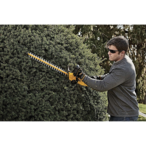 Taille-haie sans fil Max, 22", 20 V, &agrave; pile M & M Nord Ouest Inc