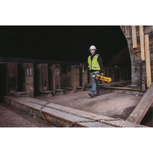 Lampe sans fil sur tr&eacute;pied 20V Max, DEL, 3000 lumens, Boîtier en Plastique M & M Nord Ouest Inc