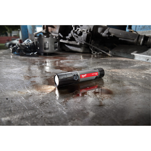 Lampe de poche compacte compatible USB, DEL, 800 lumens, Piles Rechargeable M & M Nord Ouest Inc