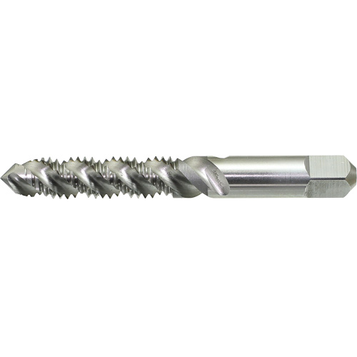 DRILLCO Spiral Flute Hand Tap, High Speed Steel, 1/4"-20 Thread M & M Nord Ouest Inc