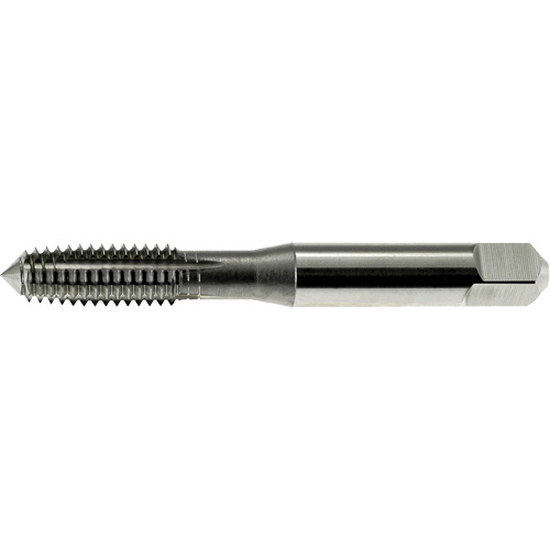 DRILLCO Thread Forming Tap, High Speed Steel, 1/4"-20 Thread M & M Nord Ouest Inc