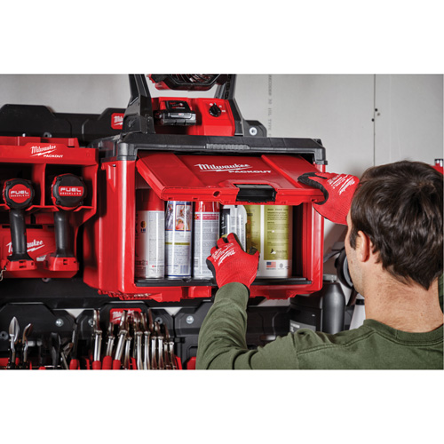 Armoire &agrave; outils Packout, 15" x 15" x 20", Noir/Rouge M & M Nord Ouest Inc