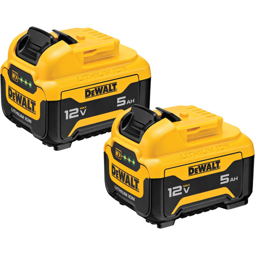 Bloc-piles Max*, Lithium-ion, 12 V, 5 Ah M & M Nord Ouest Inc
