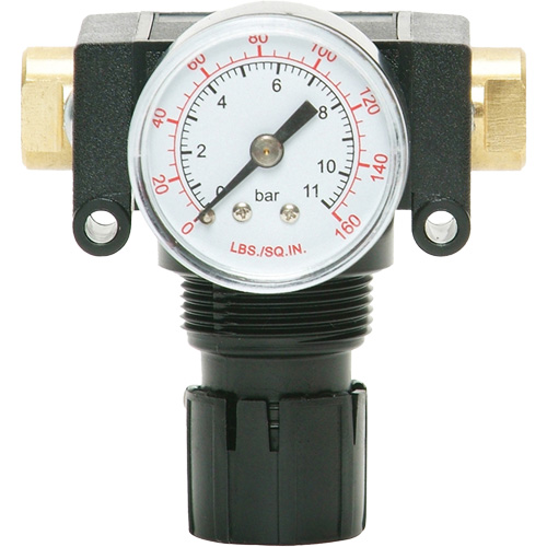 D&eacute;tendeur &agrave; piston en ac&eacute;tal MODULAIR 200, 1/4" NPT, PSI max. de 150 psi, Canalisation/Modulaire M & M Nord Ouest Inc