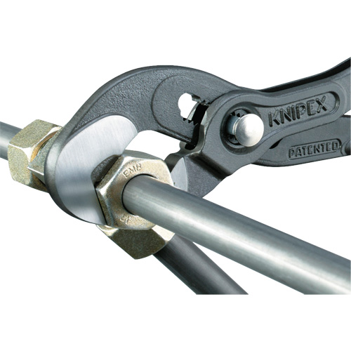 Raptor Pliers, 10" M & M Nord Ouest Inc
