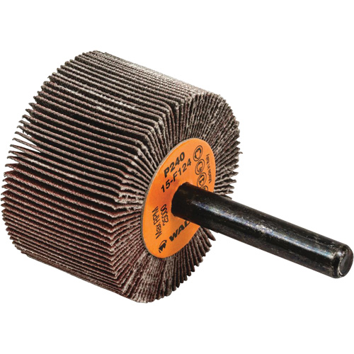 Disques &agrave; lamelles - Meules &agrave; lamelles Coolcut, Oxyde d'aluminium, Grain 240, 1-1/2" x 1" x 1/4" M & M Nord Ouest Inc