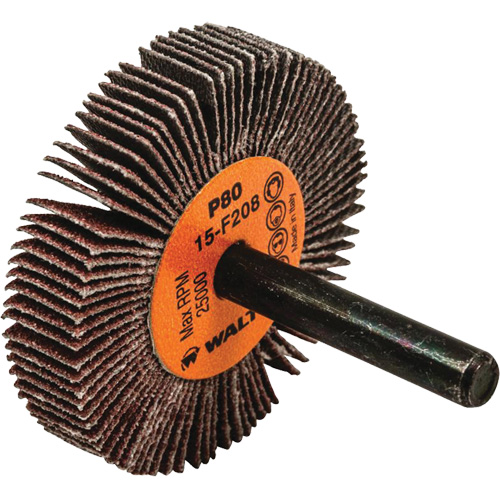 Disques &agrave; lamelles - Meules &agrave; lamelles Coolcut, Oxyde d'aluminium, Grain 80, 2" x 3/8" x 1/4" M & M Nord Ouest Inc