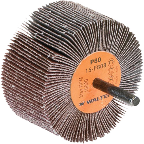 Disques &agrave; lamelles - Meules &agrave; lamelles Coolcut, Oxyde d'aluminium, Grain 80, 3" x 1-1/2" x 1/4" M & M Nord Ouest Inc