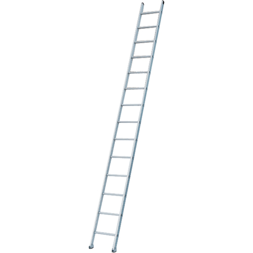 Industrial Heavy-Duty Extension/Straight Ladders, 8', Aluminum, 300 lbs., CSA Grade 1A M & M Nord Ouest Inc