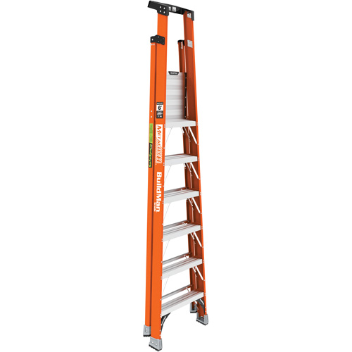Escabeau avec plateforme Safespace, 6', Cap. De 300 lb M & M Nord Ouest Inc