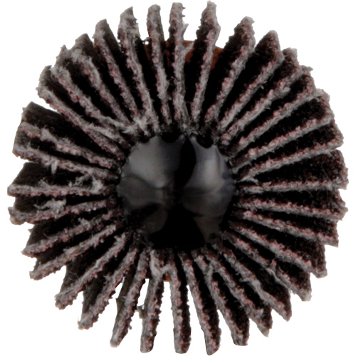 Standard Abrasives Flap Wheel, Aluminum Oxide, 60 Grit, 1" x 1" x 1/4" M & M Nord Ouest Inc
