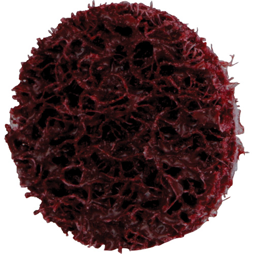 Standard Abrasives Quick-Change Surface Conditioning Disc, 3/4" Dia., Medium Grit, Aluminum Oxide M & M Nord Ouest Inc