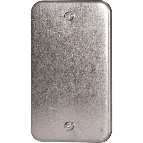 Plaque murale vierge M & M Nord Ouest Inc
