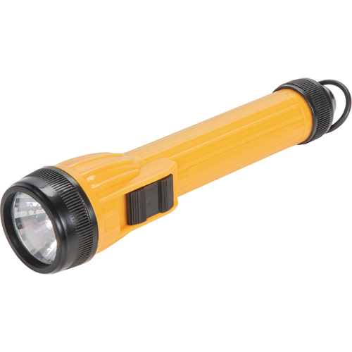 Lampe de poche AFL100, DEL, 28 lumens, Piles AA M & M Nord Ouest Inc