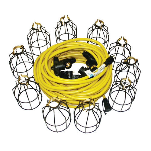 Guirlandes lumineuses &agrave; DEL, 10 Lumi&egrave;res, 100' lo, Boîtier en M&eacute;tal M & M Nord Ouest Inc