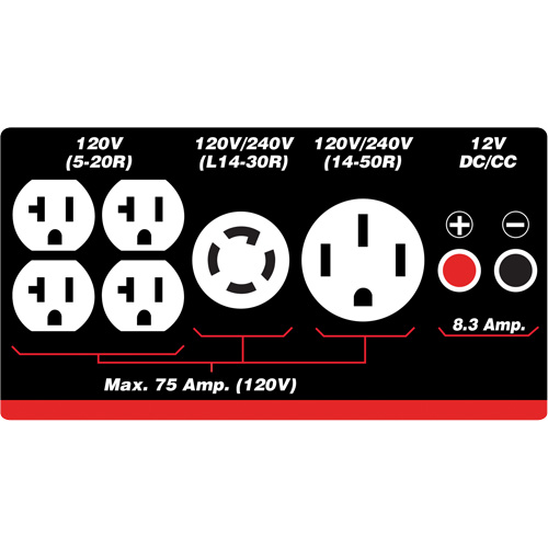 G&eacute;n&eacute;ratrice &agrave; essence/propane &agrave; d&eacute;marreur &eacute;lectrique M & M Nord Ouest Inc
