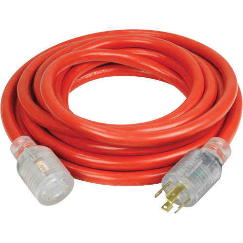 Generator Extension Cord with Quad Tap, Outdoor, 10 AWG, 30 A, 4 Outlet(s), 25' M & M Nord Ouest Inc