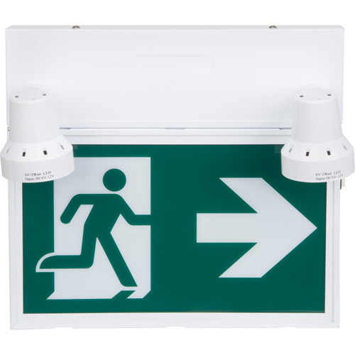 Enseigne d'homme qui court avec &eacute;clairage de s&eacute;curit&eacute;, DEL, &agrave; piles/&agrave; raccordement fixe, 12-1/10" lo x 11" la, Pictogramme M & M Nord Ouest Inc