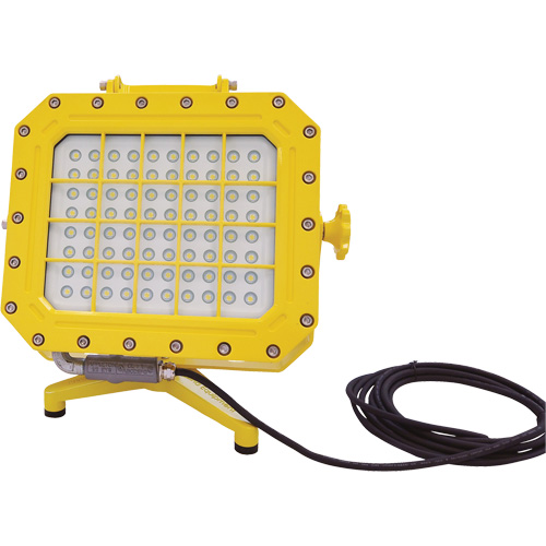 Explosion Proof Floodlight with Floor Stand, LED, 40 W, 5600 Lumens, Aluminum Housing M & M Nord Ouest Inc