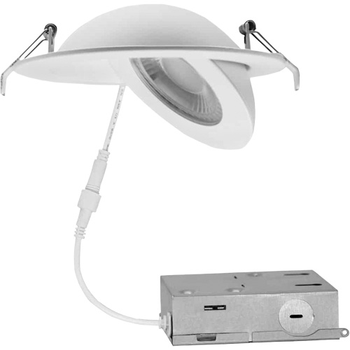 Gimbal Light Fixture, LED, 120 V, 9 W M & M Nord Ouest Inc
