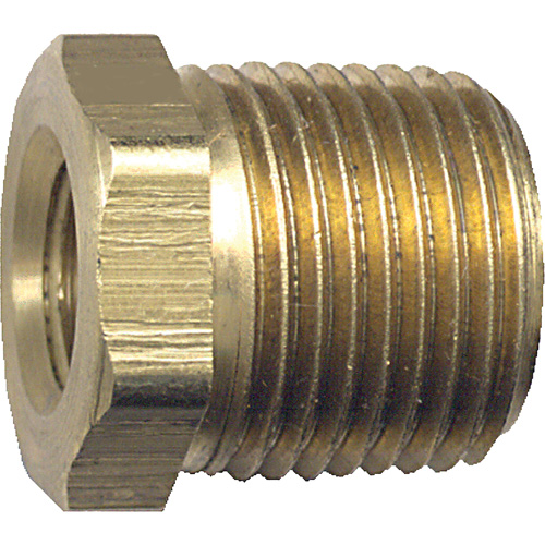 R&eacute;duction m&acirc;le-femelle pour tuyau, 1/8" x 1/2", NPT x FPT, Laiton M & M Nord Ouest Inc