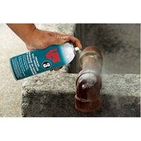 3&reg; Premier Rust Inhibitor, Aerosol Can M & M Nord Ouest Inc