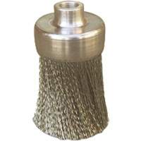 Brosses plates, rondes ou Roto M & M Nord Ouest Inc