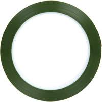 Polyester Tape, Polyester, 25.4 mm (1") W x 66 m (216') L, 1.9 mils Thick M & M Nord Ouest Inc