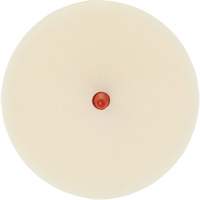Scotch-Brite Moulding Adhesive & Stripe Removal Disc, 7501, 4" Dia. M & M Nord Ouest Inc