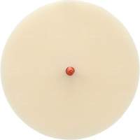 Scotch-Brite Moulding Adhesive and Stripe Removal Disc 7502, 6" Dia. M & M Nord Ouest Inc