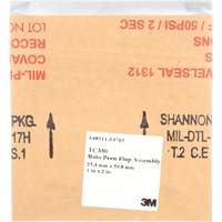 1" x 2" Roto Peen Flap Assembly, TC 330 M & M Nord Ouest Inc