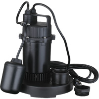 Thermoplastic Submersible Sump Pump, 2560 GPH, 115 V, 4.6 A, 1/3 HP M & M Nord Ouest Inc