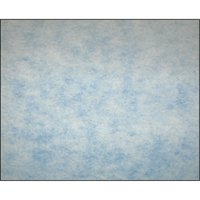 Filtres en m&eacute;dias synth&eacute;tiques &agrave; arrestance &eacute;lev&eacute;e, Tampon, MERV 5, 24" la x 2" p x 12" h M & M Nord Ouest Inc