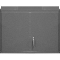 Wall-Mounted Cabinet, 27" H x 29-7/8" W x 13-11/16" D, 2 Shelves, Steel, Grey FL992 | M & M Nord Ouest Inc