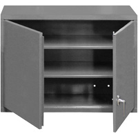 Wall-Mounted Cabinet, 27" H x 29-7/8" W x 13-11/16" D, 2 Shelves, Steel, Grey FL992 | M & M Nord Ouest Inc