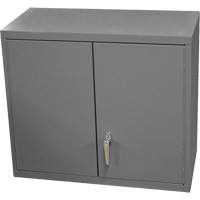 Wall-Mounted Cabinet, 27" H x 13-11/16" W x 35-7/8" D, 2 Shelves, Steel, Grey M & M Nord Ouest Inc
